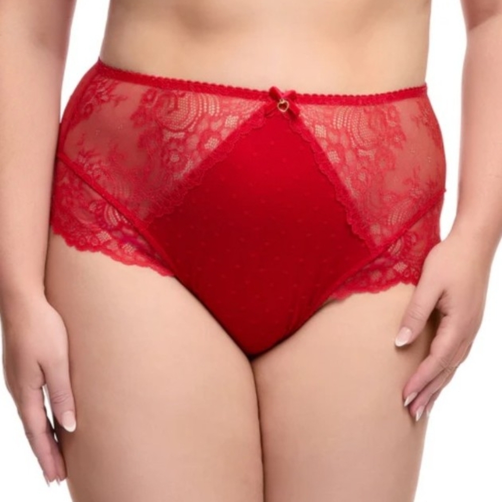 Dita Von Teese Fiamma High Waist Brief Rose Red size small